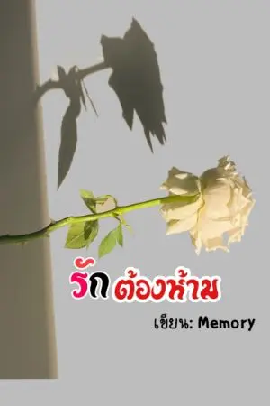 ปกนิยาย