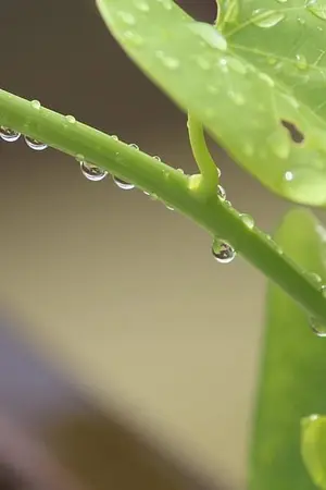 ปกนิยาย GRS Ultra