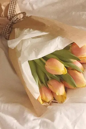 ปกนิยาย don’t be stubborn |#อย่าดื้อกับพี่นะฟากฟ้า