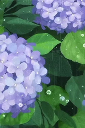 ปกนิยาย [ Tokyo Revengers/OcxCanon/Yaoi,BL,NL ] ไฮเดรนเยีย ดอกไม้ของราชากบฏ