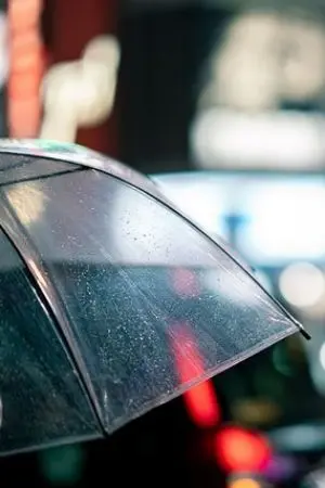 ปกนิยาย เดินทางตามหารัก