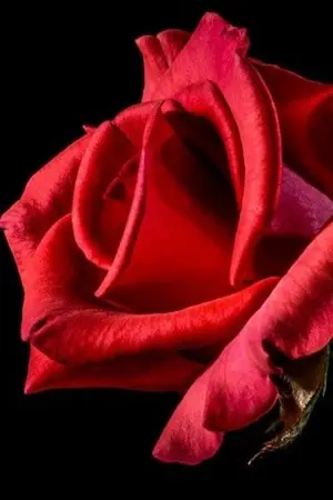 ปกนิยาย เปลี่ยนร้าย...ให้กลายเป็น..รัก