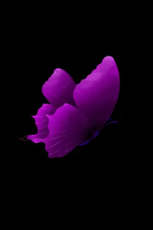 ปกนิยาย BEGINNING AGAIN