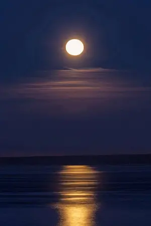 ปกนิยาย ข้ามภพมาเพื่อรักเธอ