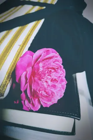 ปกนิยาย Lawyer To Writer จากทนายกลายเป็นนักเขียน