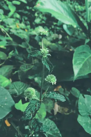 ปกนิยาย คุณจีนทำให้ผมอยากเขียนนิยาย