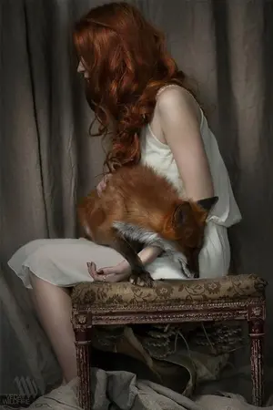 ปกนิยาย (Fic Harry Potter) In Ther Dark Witch