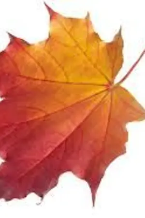 ปกนิยาย คำขอ...