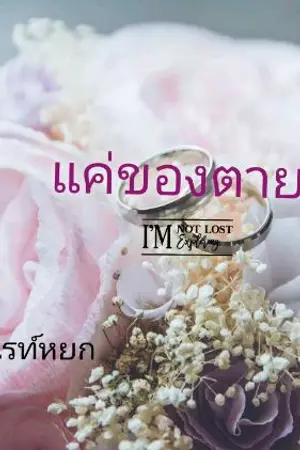 ปกนิยาย แค่ของตาย(เมียหลวง)