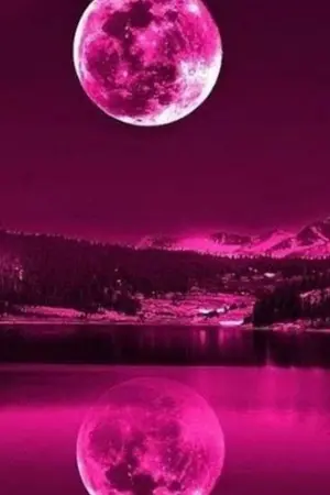 ปกนิยาย time of love forever