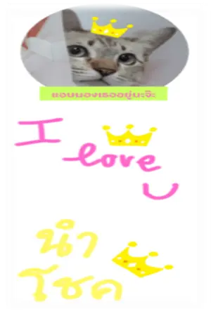 ปกนิยาย เหมียวน้อยนำโชค ตอนที่ 1 โปรดติดตามตอนต่อไป