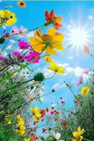 ปกนิยาย คุณหมอนักสืบถือมีดผ่าตัดกับยัยแจ๋วถือสาก