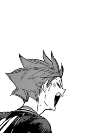 ปกนิยาย [Fic Haikyuu!!] Hinata's cousin