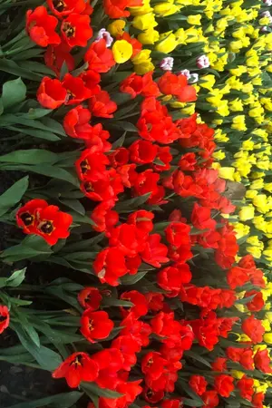 ปกนิยาย (อย่า)ใจร้าย