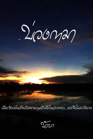 ปกนิยาย