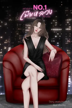 ปกนิยาย No1.อย่าสงสารเมียหลวงอย่างฉัน