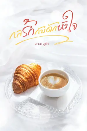 ปกนิยาย