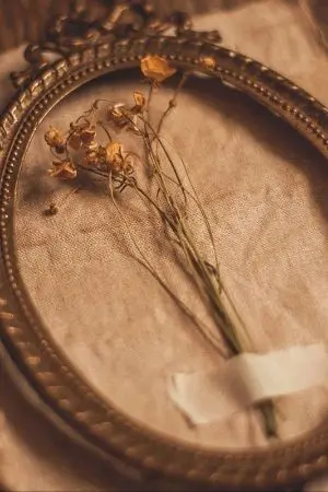 ปกนิยาย sad girl [ Fic Attack On Titan ]