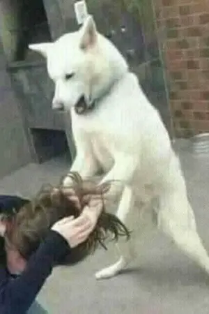 ปกนิยาย [Fic รามเกียรติ์] กระจก2มิติ