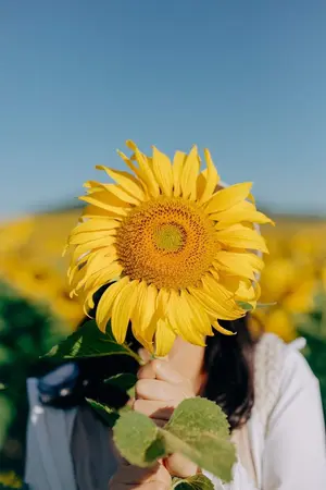 ปกนิยาย รักใหม่กับคนเก่า (version ใหม่)