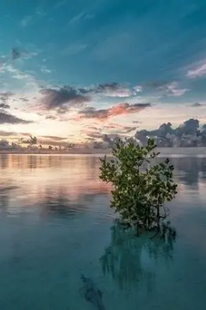 ปกนิยาย เส้นทางราชาปีศาจของแวมไพร์ผู้เยาว์วัย