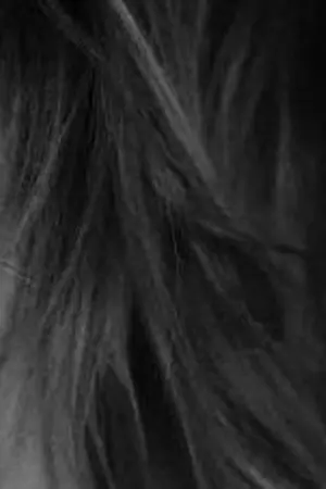 ปกนิยาย แด่คุณที่ฉันเคยเป็นที่รัก