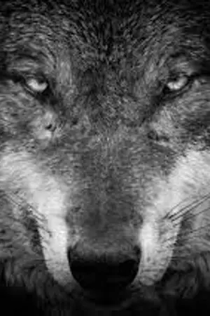 ปกนิยาย ระบบร้านคาเฟ่ 'Dimension Wolf'