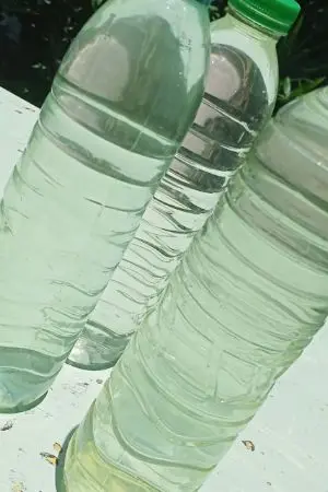 ปกนิยาย เอ้าคือเถียง