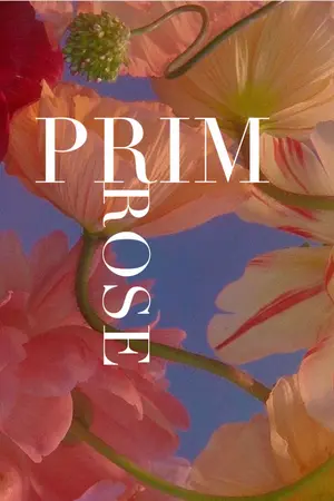 ปกนิยาย Primrose l ยังคงมีกันและกัน