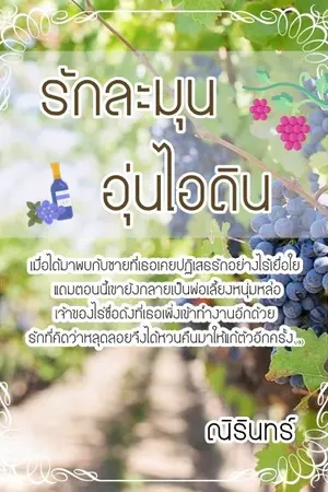 ปกนิยาย รักละมุน อุ่นไอดิน