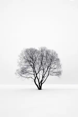 ปกนิยาย ก็ผมมันแค่ "คนรับใช้" [Mpreg]