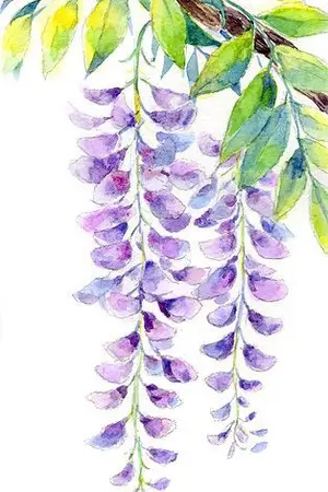 ปกนิยาย <AKA NO HANA> ดอกไม้สีแดง