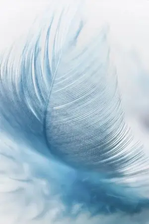 ปกนิยาย อ้อมกอดกินนรา