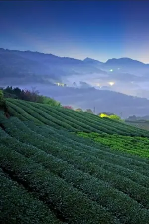 ปกนิยาย จักรวาลรักแห่งขุนเขา