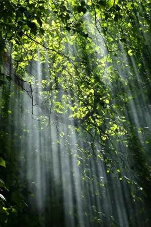 ปกนิยาย นาคาเกี้ยวใจ