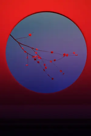 ปกนิยาย ❀ คืนดอกเหมยโรยรา ❀