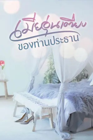 ปกนิยาย