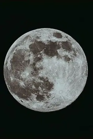 ปกนิยาย หมอ(เถื่อน)เมียมาเฟีย