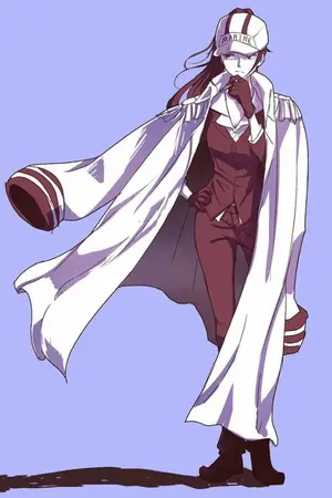 ปกนิยาย 《FIC ONE PIECE》คุณผู้หญิงแห่งกองทัพเรือ