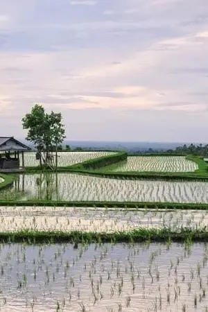 ปกนิยาย บ้านนอกอบอุ่นกว่าเมืองกรุง