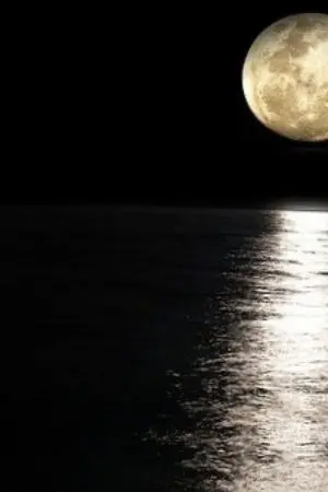 ปกนิยาย necromancer heart