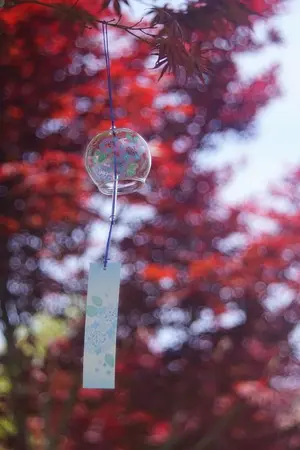 ปกนิยาย ตัวร้ายไม่ได้มีดีแค่เรื่องเลวทราม