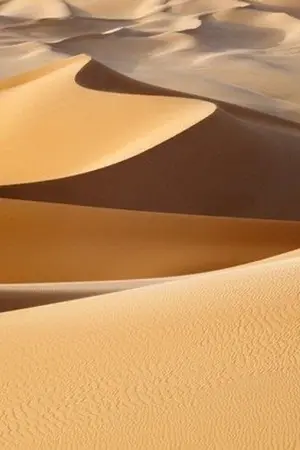 ปกนิยาย Miara องค์กรรัฐอาณาจักรทะเลทร