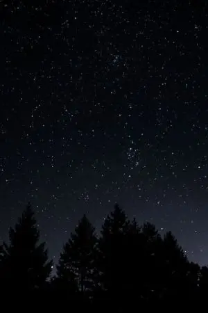 ปกนิยาย ทายาทอาชญากร