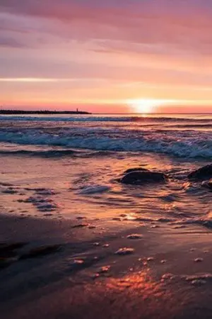 ปกนิยาย Moonlight of love (แสงจันทร์แห่งความรัก)