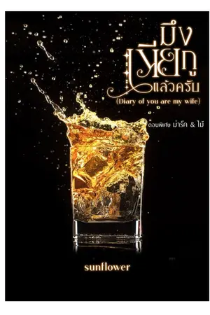 ปกนิยาย