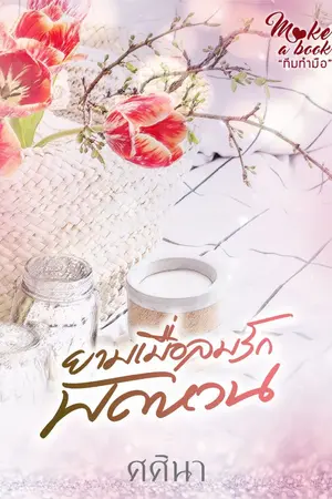 ปกนิยาย