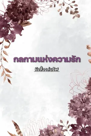 ปกนิยาย