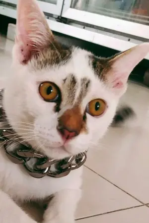 ปกนิยาย ฉันไม่ใช่เด็ก18