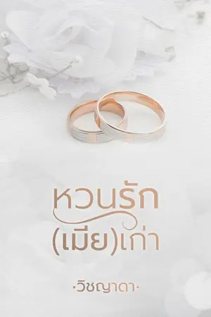 ปกนิยาย หวนรัก (เมีย) เก่า